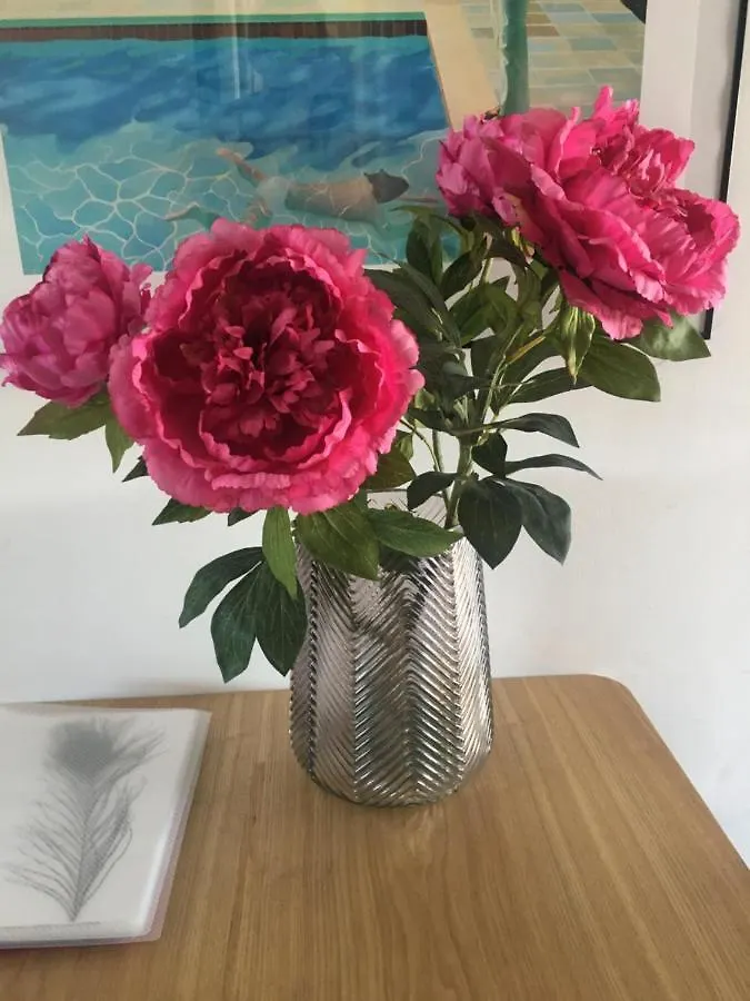 Penthouse Antibes City Centre/Beach Apartment